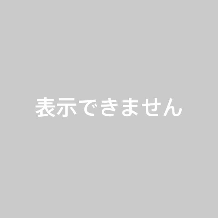訳あり 魔人ブウピカチュウフィギュア ドラゴンボール ポケモン 魔人