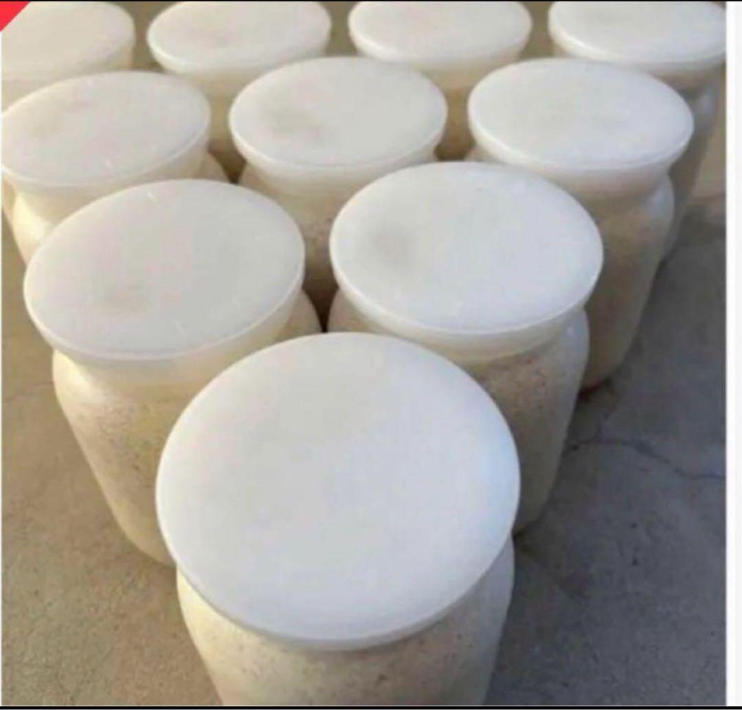 カワラ菌糸ビン 1100 36本 店頭のみ】Naturaカワラタケ菌糸ボトル 1100cc | KPW公式オンライン