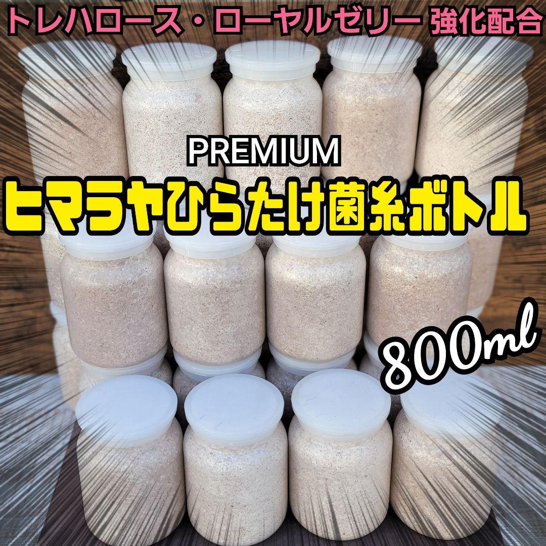 極上！ヒマラヤひらたけ菌糸瓶【10本セット】トレハロース、キトサン