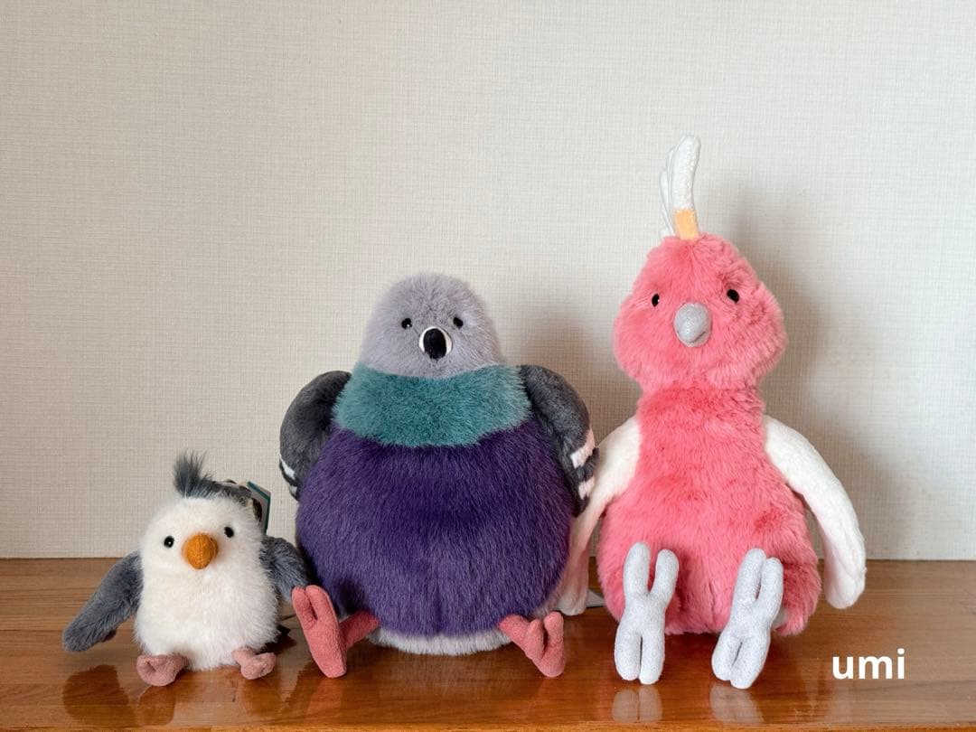 ジェリーキャット レスター・ハト 新作 ロンドン限定 タグ付き 新品