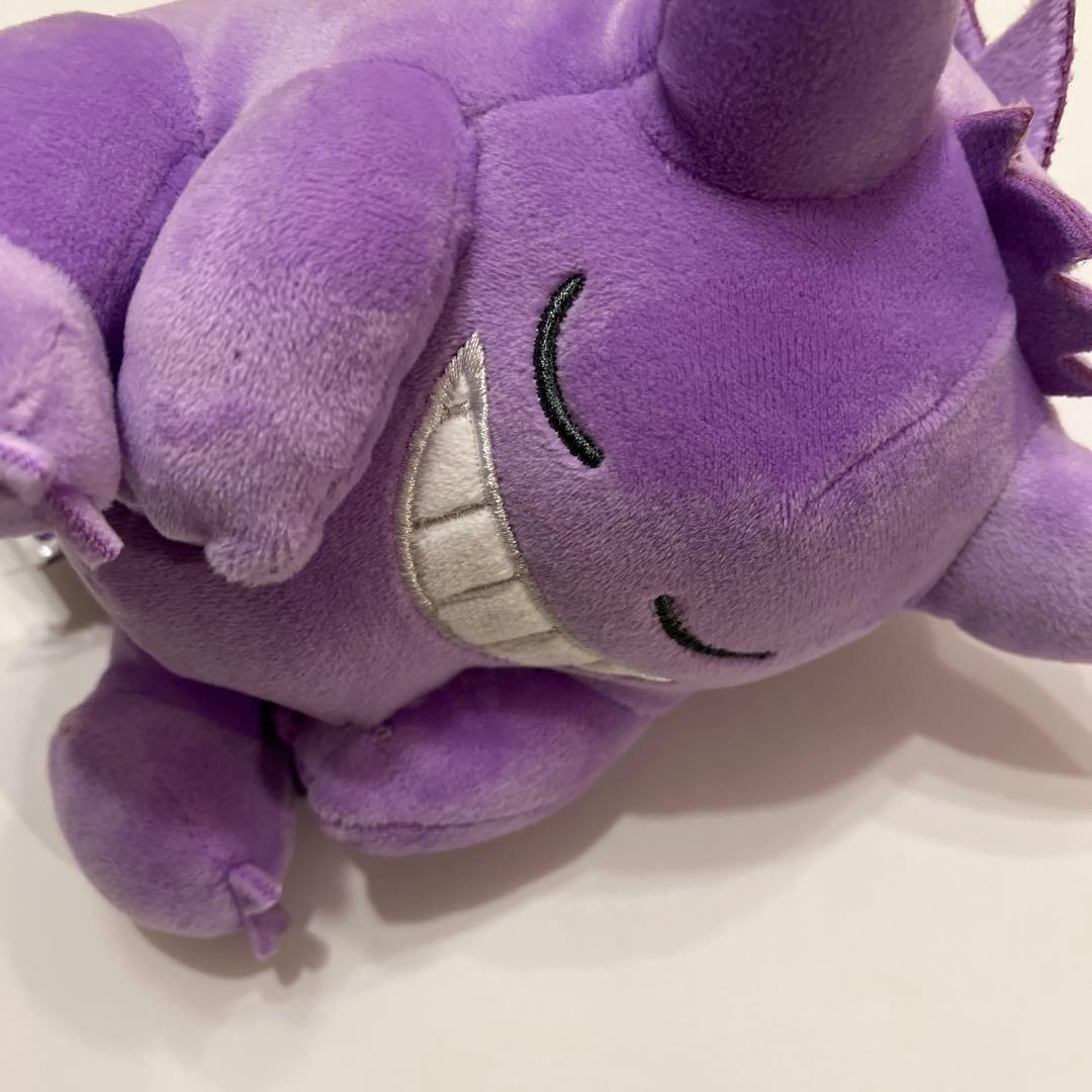 匿名配送【リザードン・ピチュー・ゲンガー】すやすやフレンド ポケモン