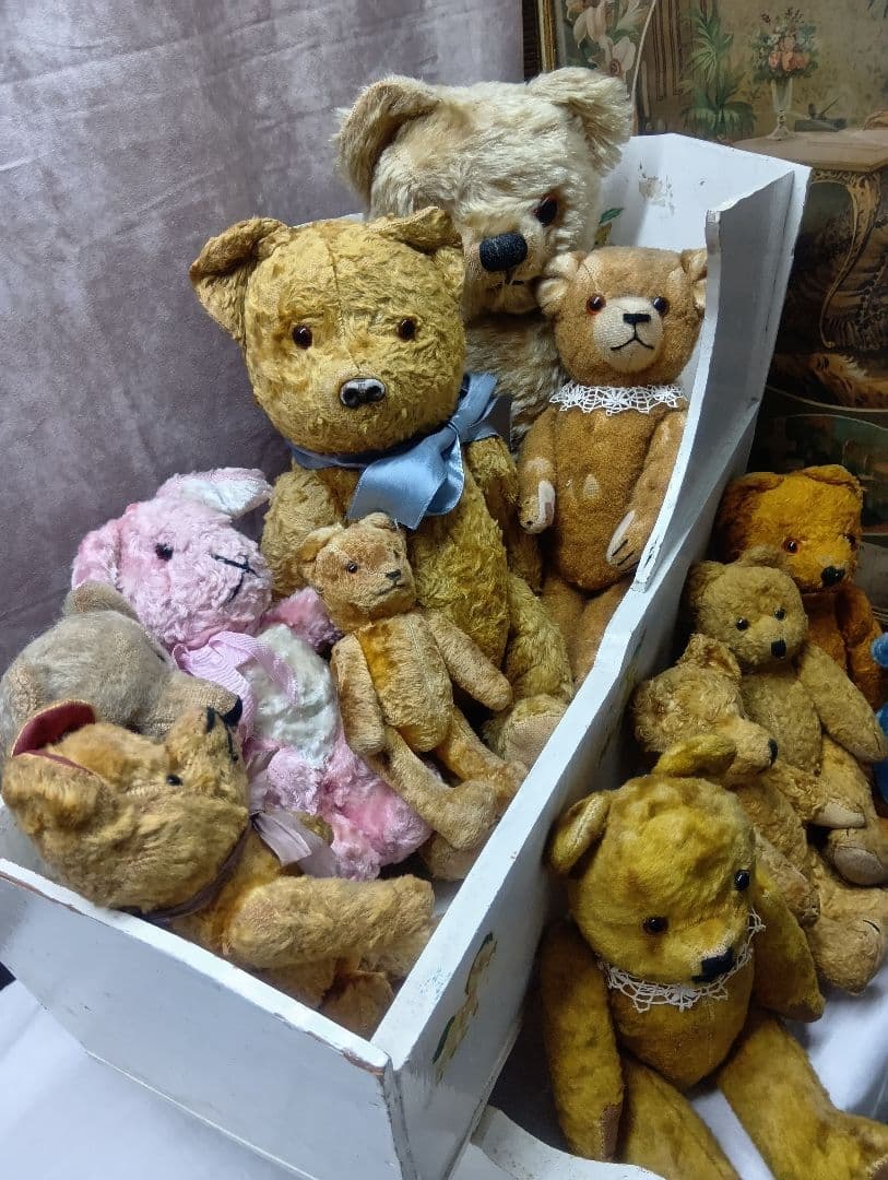 ♥ドイツからやって来た賢いお顔の　アンティーク　テディベア♥