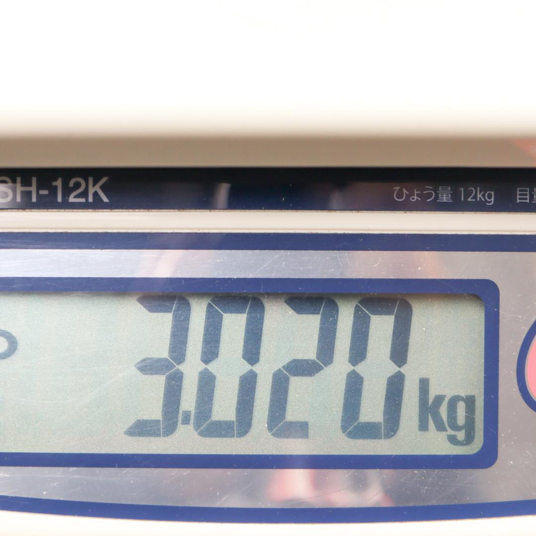 オレフォス スウェーデン オッレ・アルベリウス 花瓶 フラワーベース