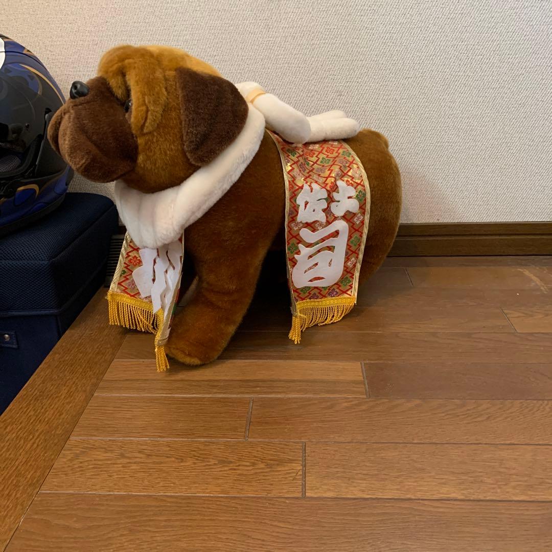 土佐犬ぬいぐるみ【闘犬】