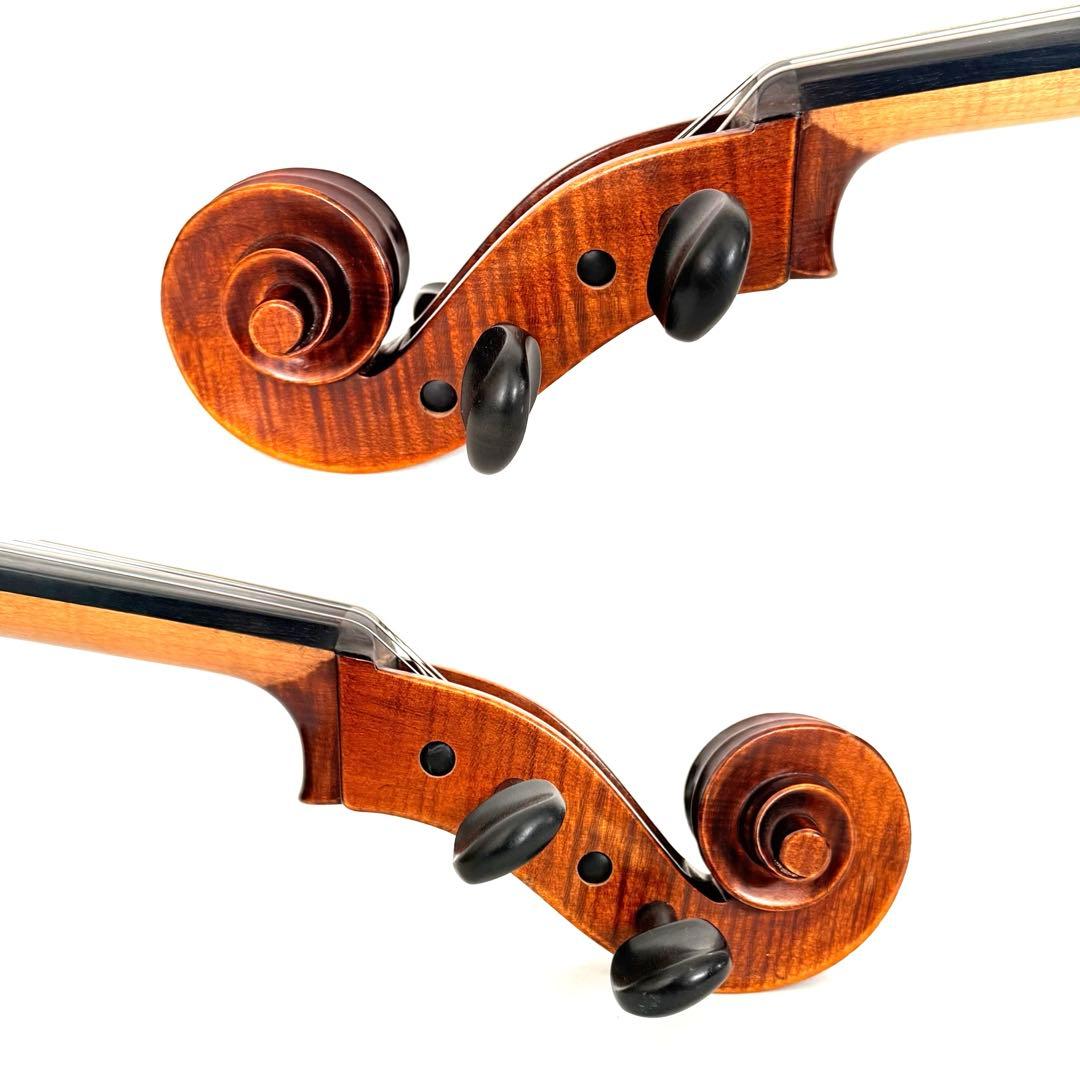 弦楽器 Gliga Strumenti musicali eseguiti 4/4