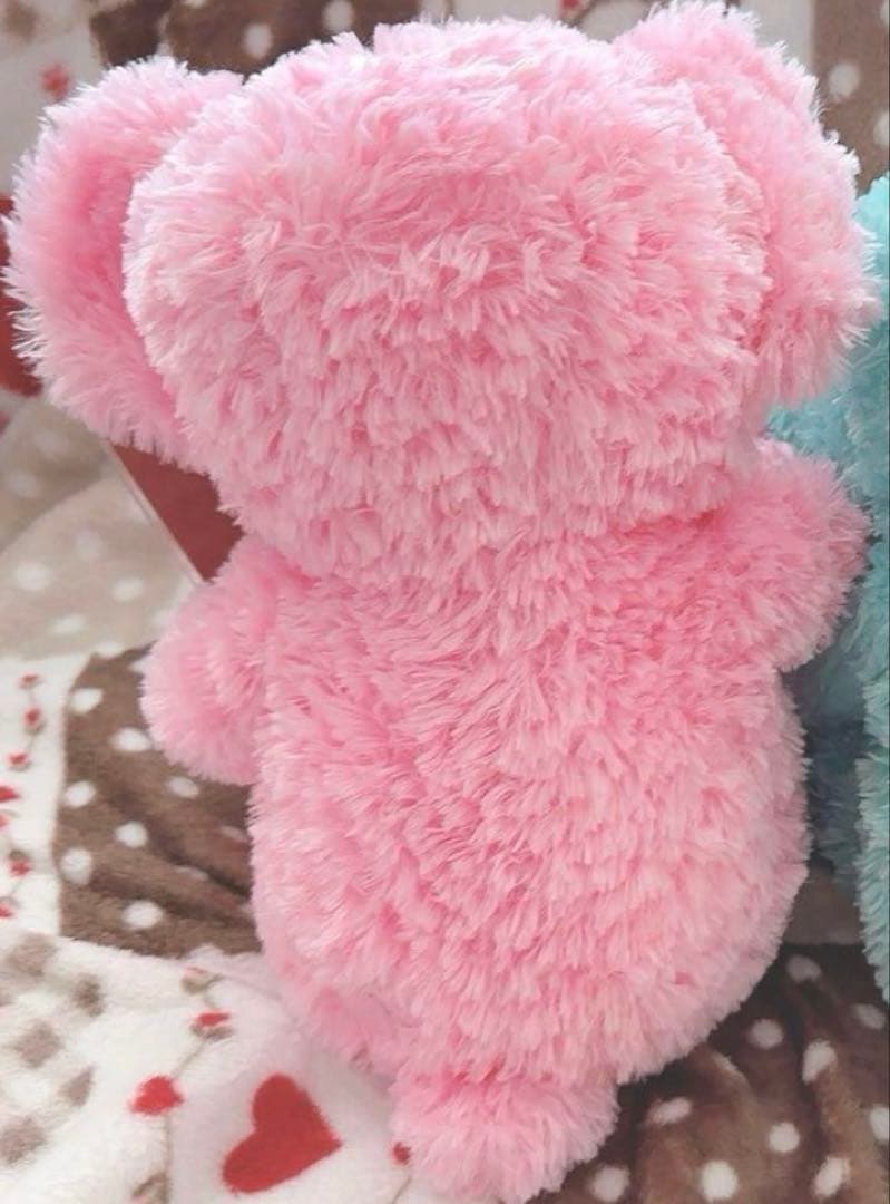 WDW ダッフィー ディズニーベア カラーダッフィー ピンク