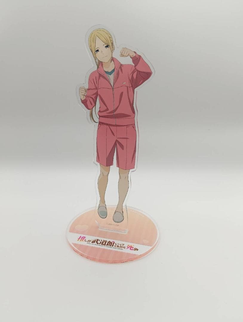 推しが武道館いってくれたら死ぬ ChamJam＆えりぴよ8体 アクリル