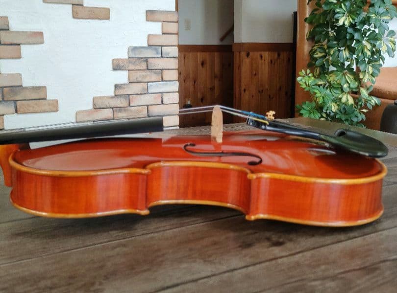 弦楽器 niko-nikoPYGMALIUS ST-03 4/4 1983