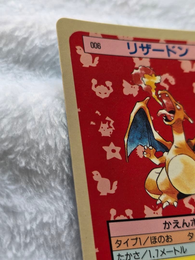 トップサン　リザードン「入札する前に必ず確認を」