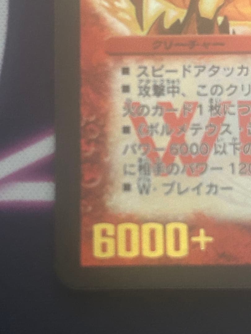 ポルシャック大和ドラゴン winner