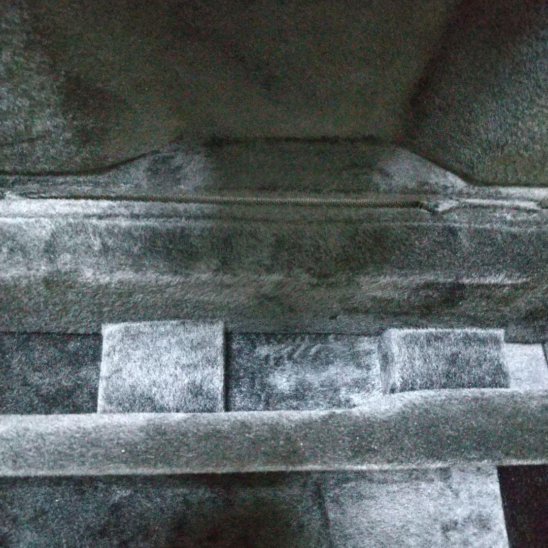 トランペット&ミュートケース Protec 【未使用・超美品】