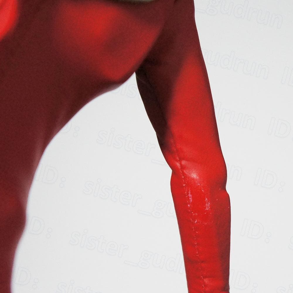 概ね美品】 RAH ウルトラマンレオ 1/6 フィギュア