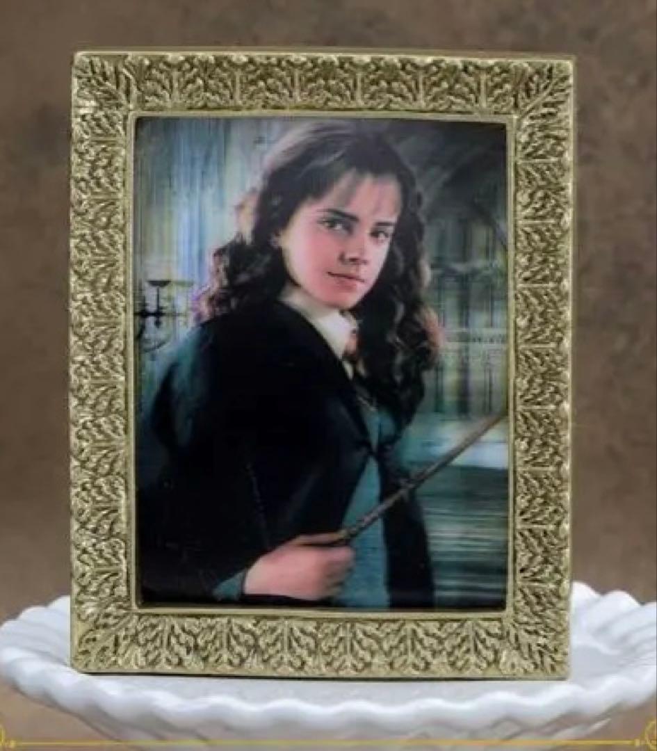 ハリー・ポッター 肖像画マグネットコレクション7種セット - メルカリ