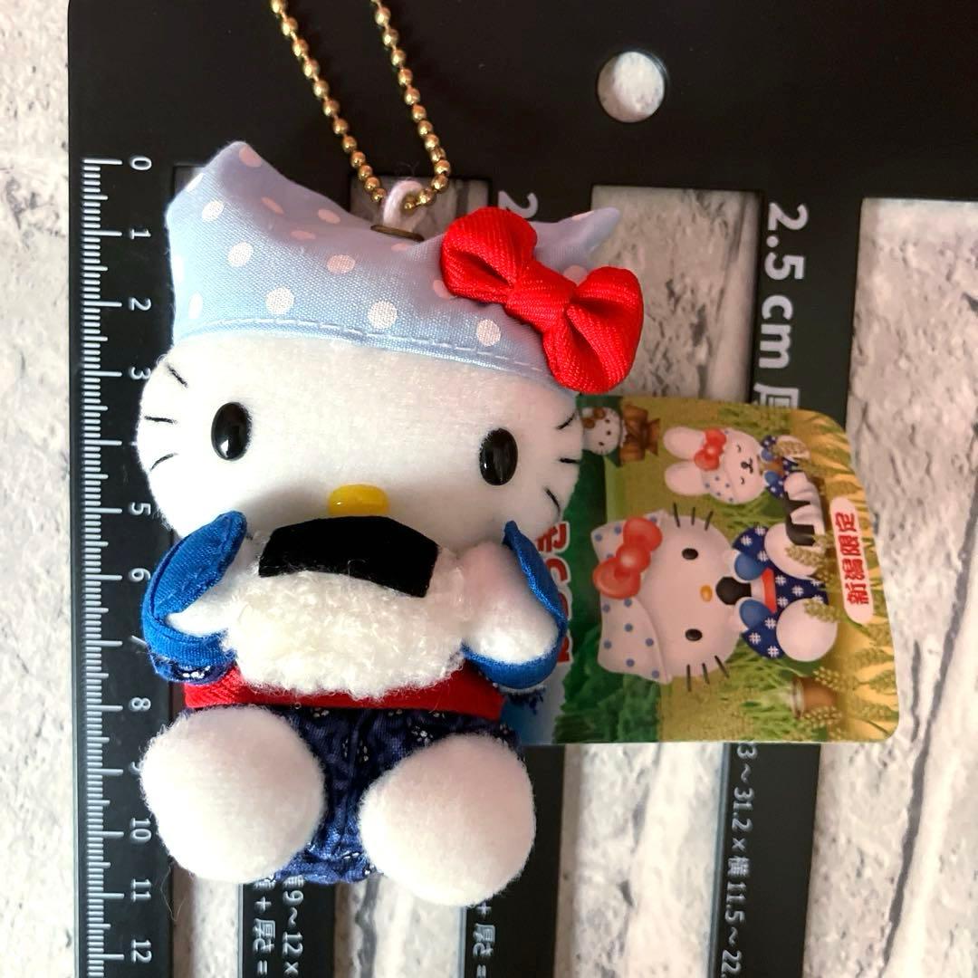 公*o様 新潟限定 ご当地キティ ハローキティ 和風ぬいぐるみ おにぎり レア