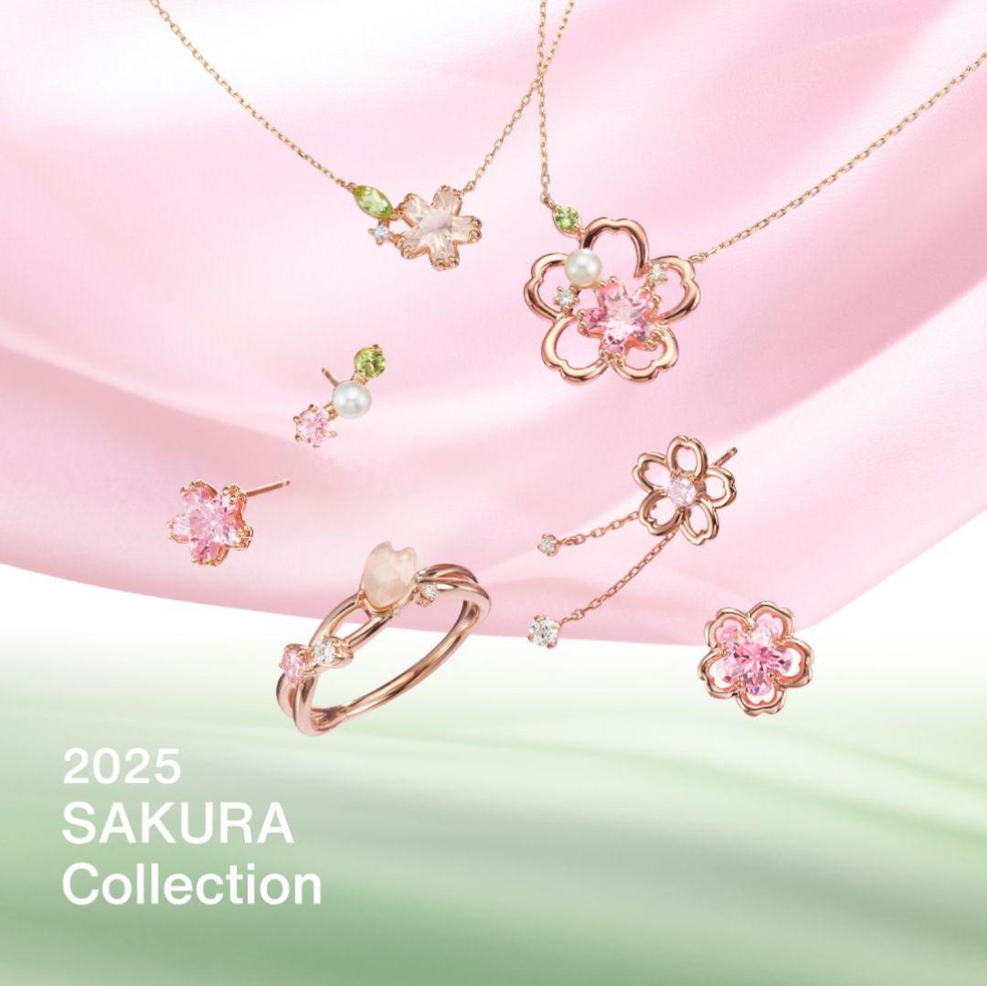 canal4℃　2025 サクラ コレクション　限定　桜　SV　リング　11号