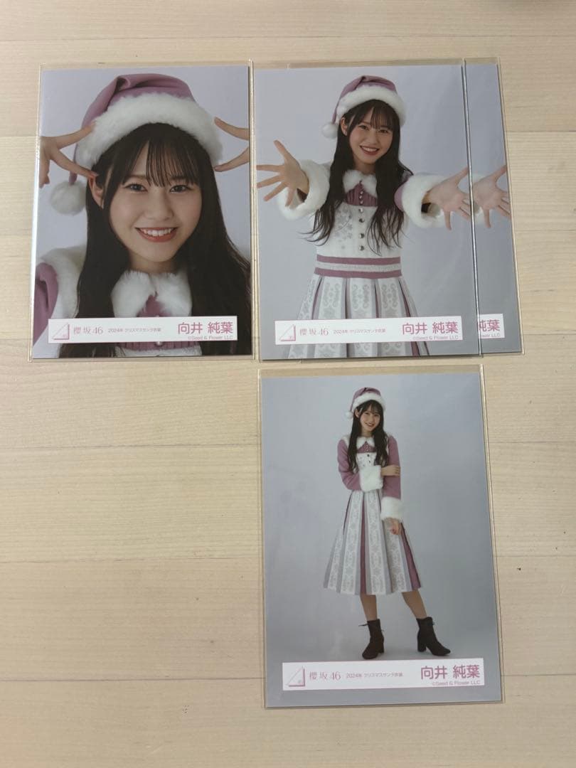 櫻坂46 2024サンタ衣装 向井純葉 - メルカリ