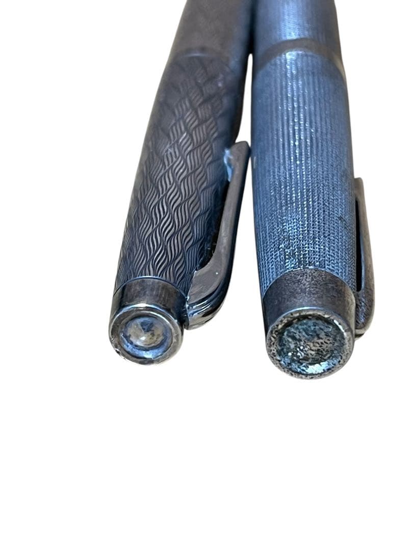 2本セット プラチナ万年筆 プラチナ・プラチナ（中字） Pt. Alloy