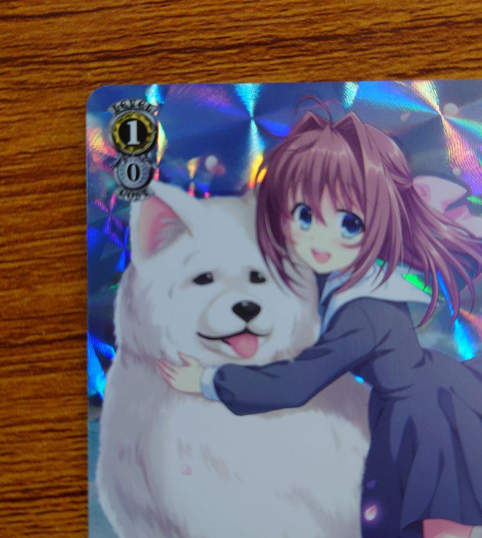 ヴァイスシュヴァルツ 春のもふもふ 音姫 RE ホロ D.C. クロニクル最