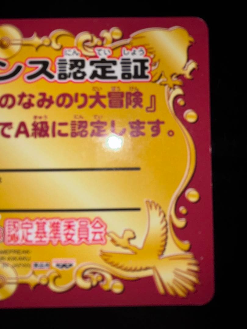 A級ライセンス　認定証　ピカチュウ　なみのり大冒険　ポケモン　2種