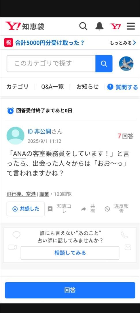 フライングホヌ 模型 1/400 ダイキャスト