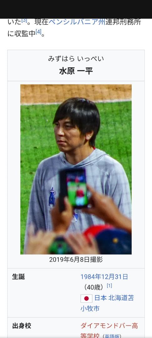 フライングホヌ 模型 1/400 ダイキャスト