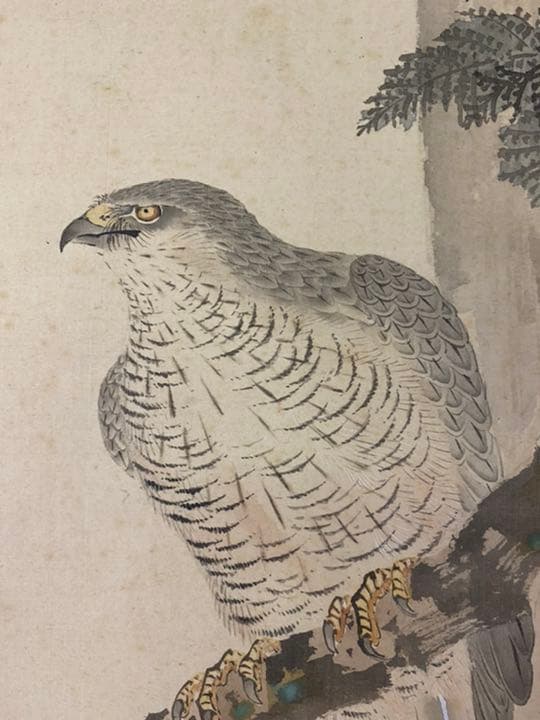 ✨門外不出不動明王掛軸✨