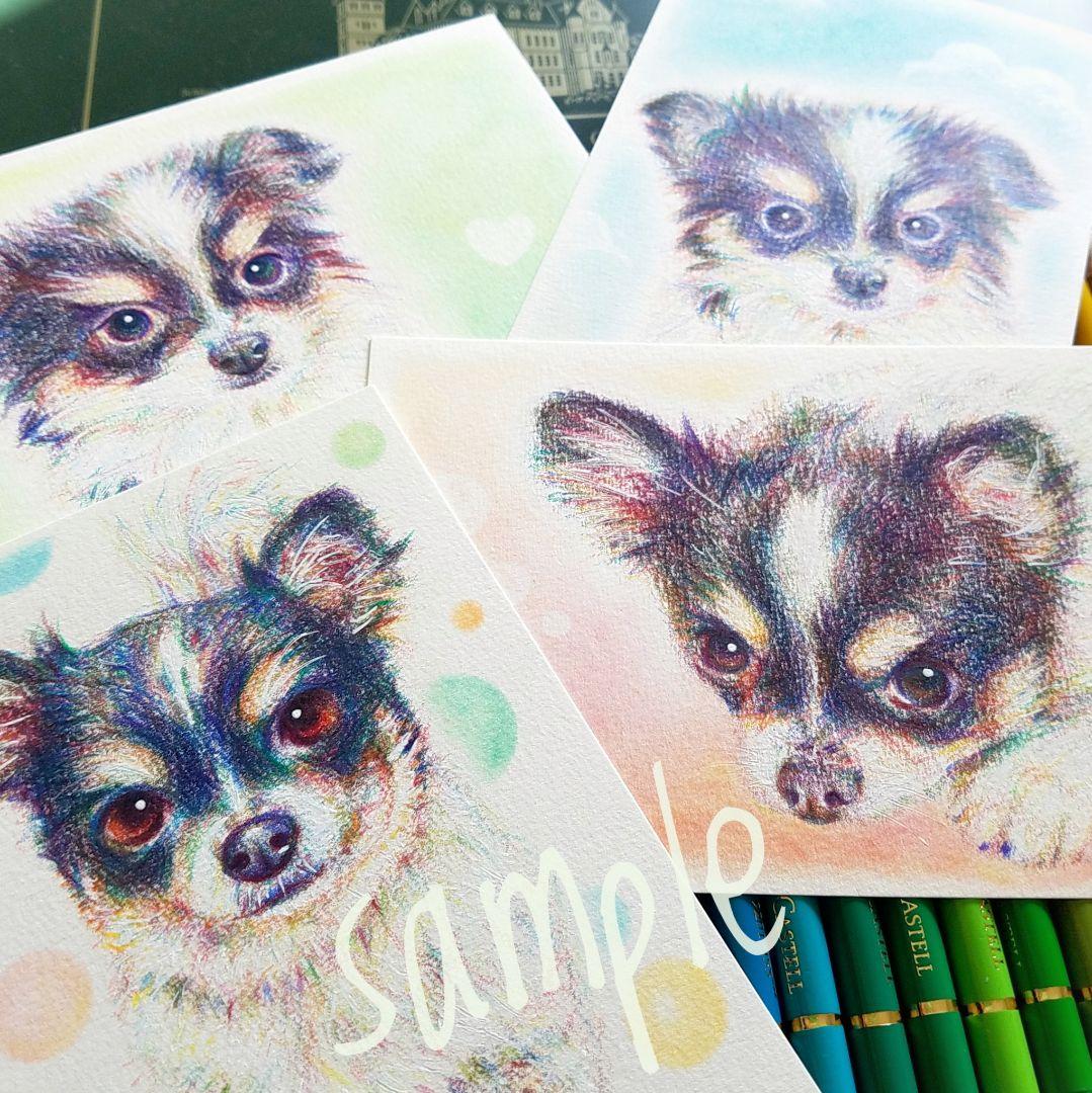 愛犬愛猫の似顔絵描きます。オーダー依頼用 色鉛筆画✭愛猫愛犬