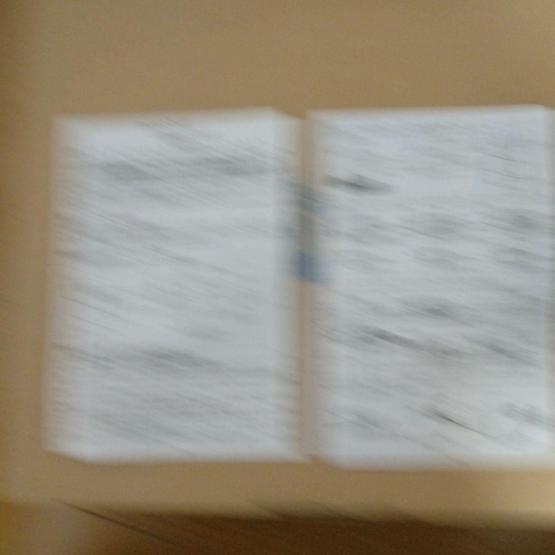 mont-bell 381 ウェイルブーツ 27.0