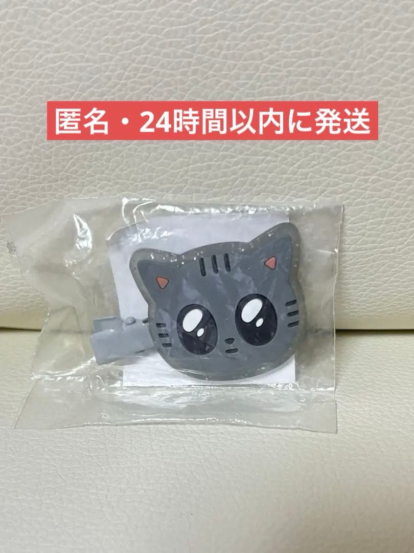 TXT プルバトゥ ダゴニャン テヒョン ヘアクリップ - メルカリ