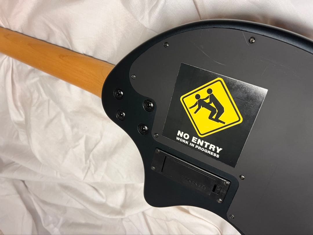 ギター FERNANDES / ZO-3