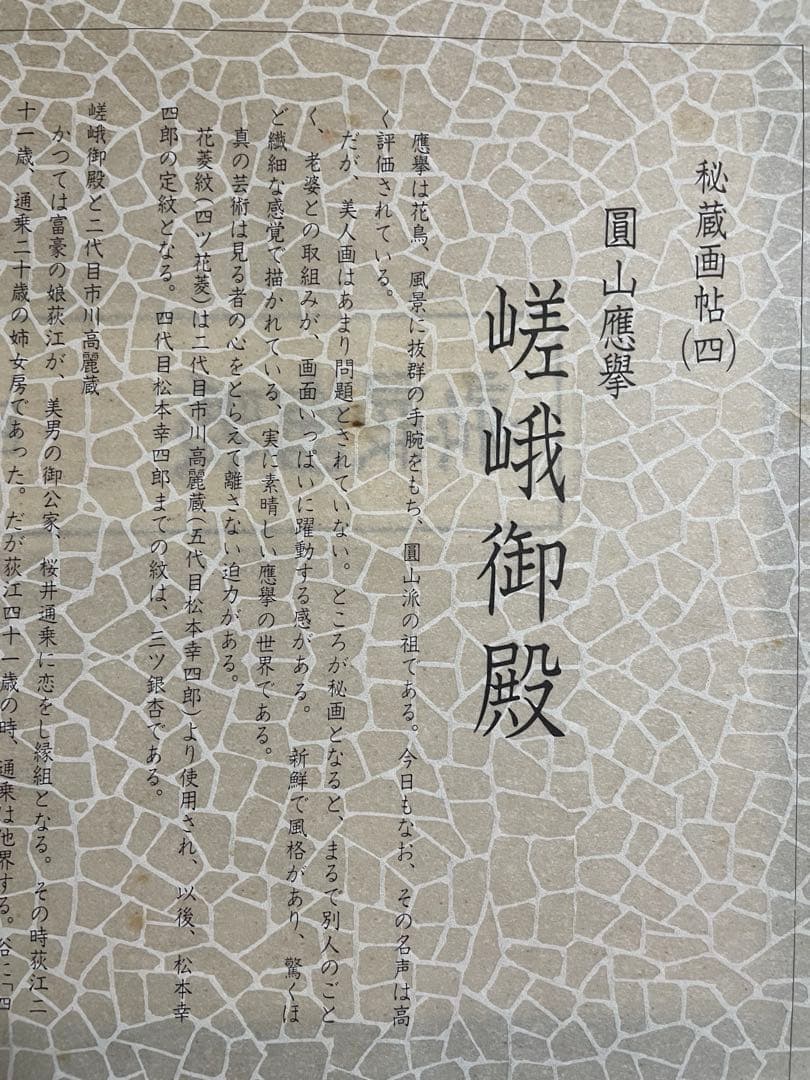 秘蔵画帖（四）圓山應擧 嵯峨御殿拾弐図