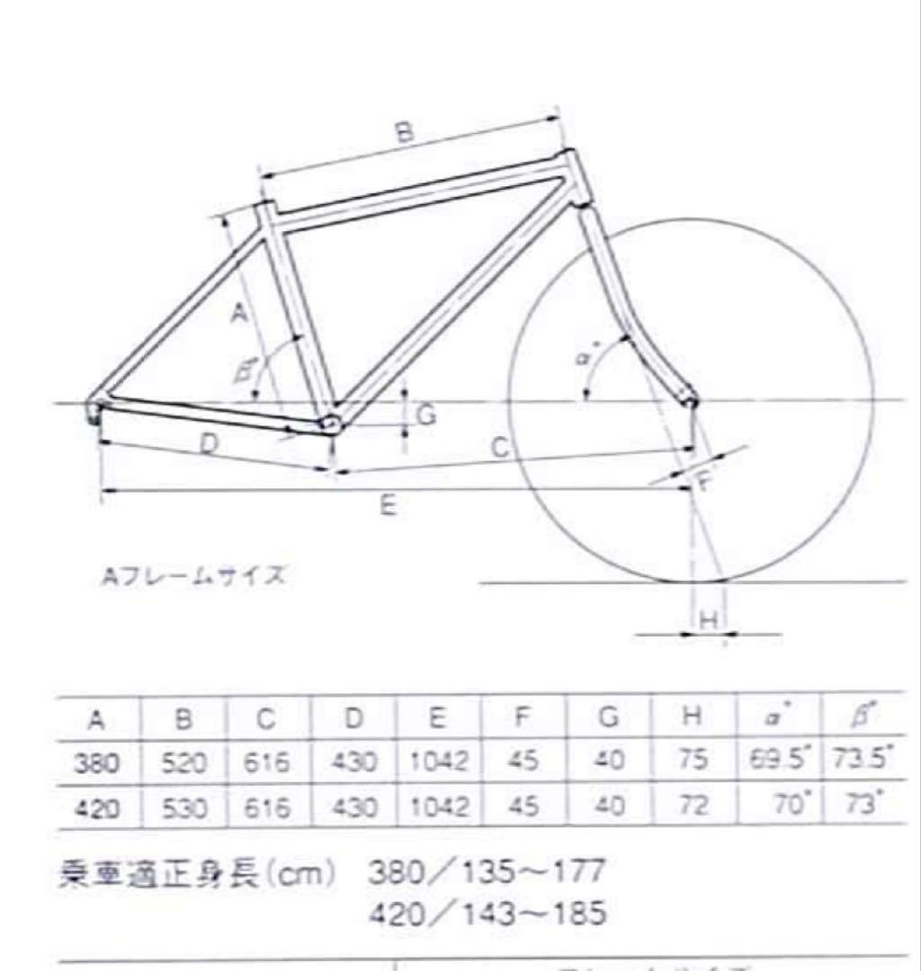 ARAYAマディフォックス　クロモリメッキMTB 1994年モデル