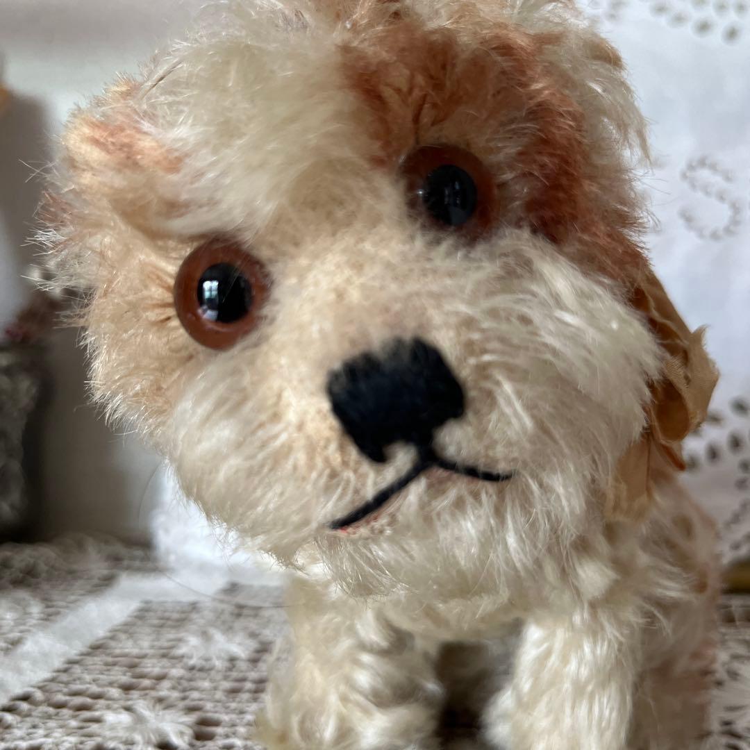 シュタイフ 犬のぬいぐるみ Molly Puppy Steiff タグボタン有