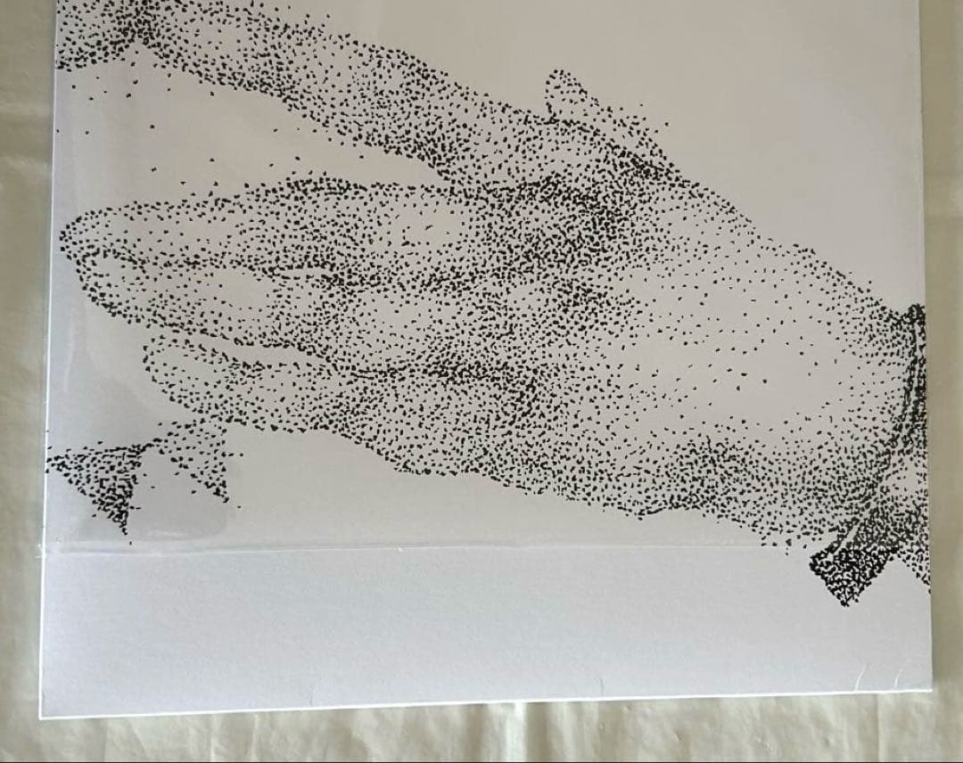 ジョンヒョン　Op.1 小品集　レコード　LP SHINee レア　ソロ