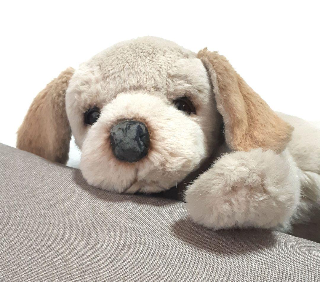 【美品】ジョックライン　JOCKLINE社　当時物　イタリア製　犬　ゴールデン