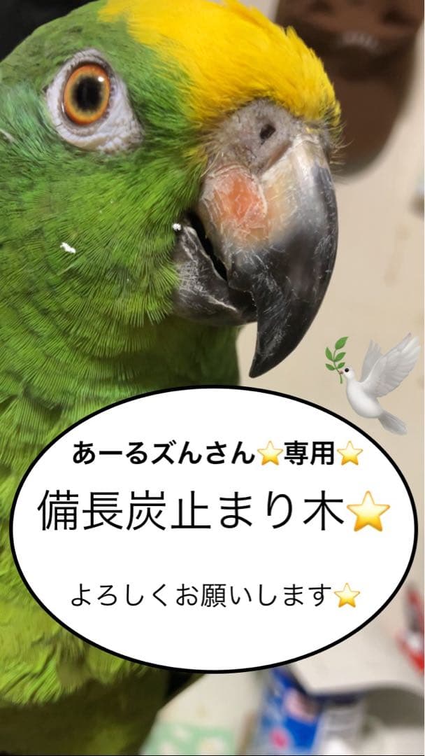 備長炭止まり木⭐️止まり木⭐️パーチ⭐️専用です♪♪(((o(*゜▽゜