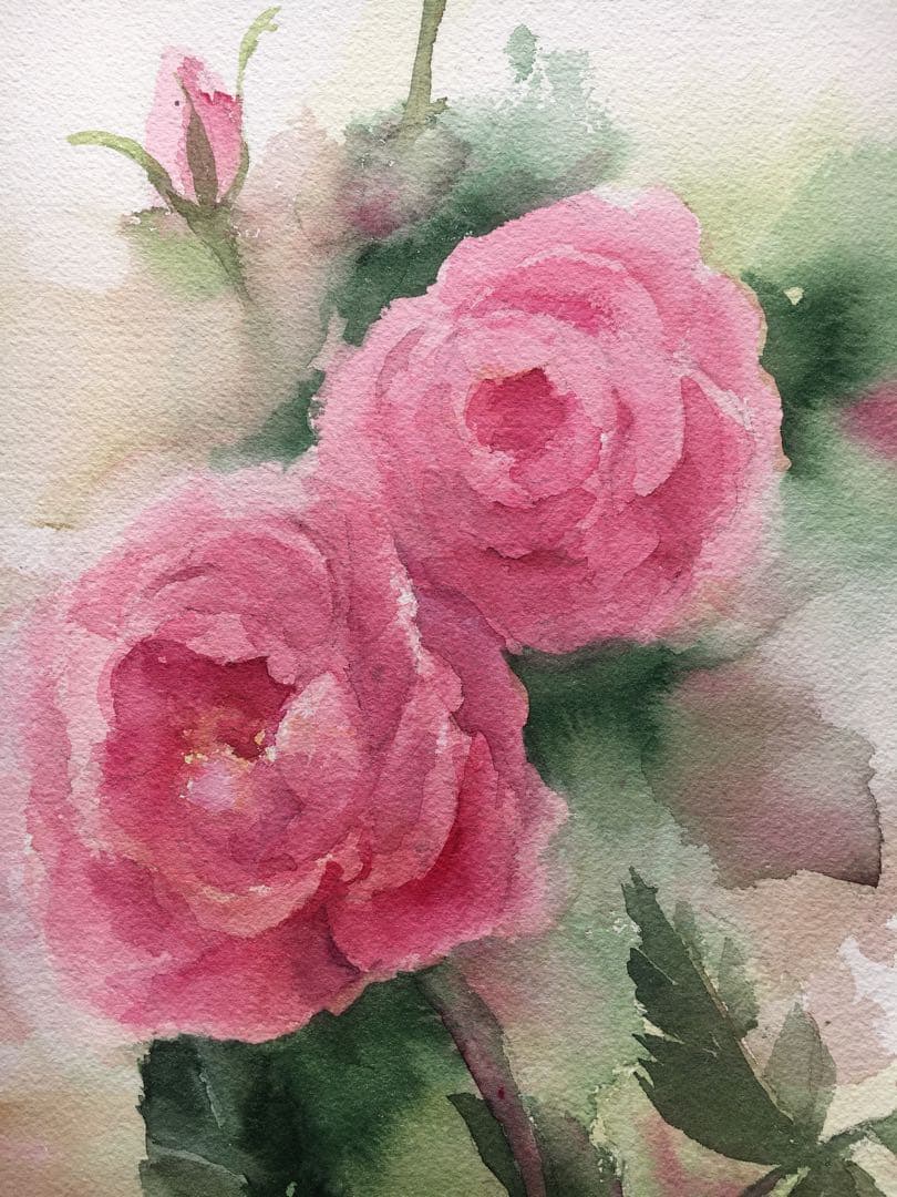 透明水彩画原画ピンクの薔薇⑥