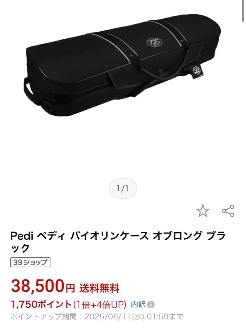 Pediバイオリンケース(4/4)