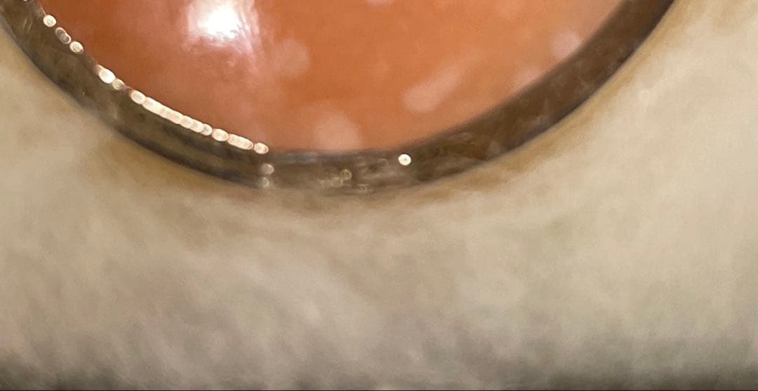 未使用品【イタリアローマのカメオ専門店で購入】カメオブローチ 女性