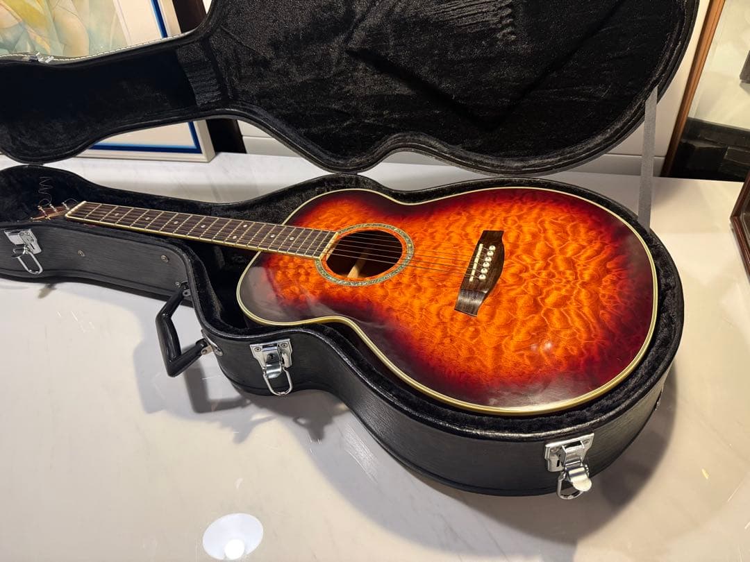 Ibanez アコースティックギター ハードケース付 Ibanez アコースティックギター ギターケース付き ギターケース