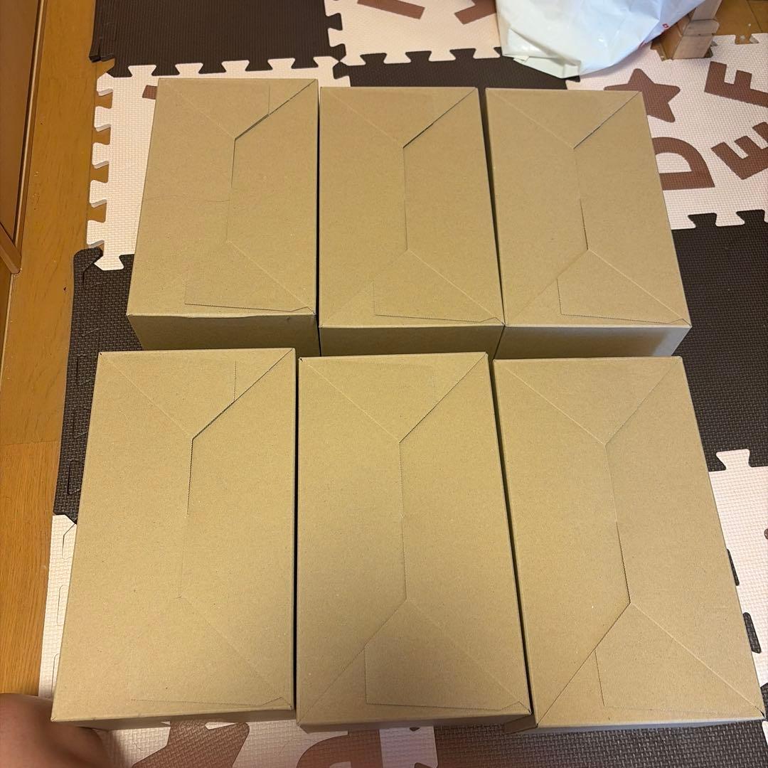 【未開封シュリンク付き】ポケモンセンター トウホク スペシャル6BOX