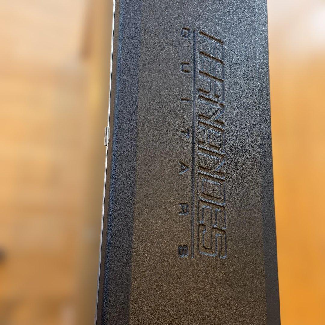 Navigator ESPARTO ストラト　ハードケース付き