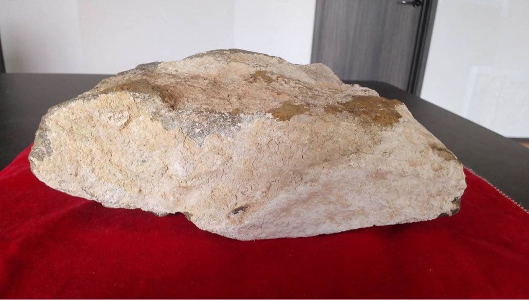 三葉虫化石 化石 古道具 アンティーク ディスプレイ オブジェ