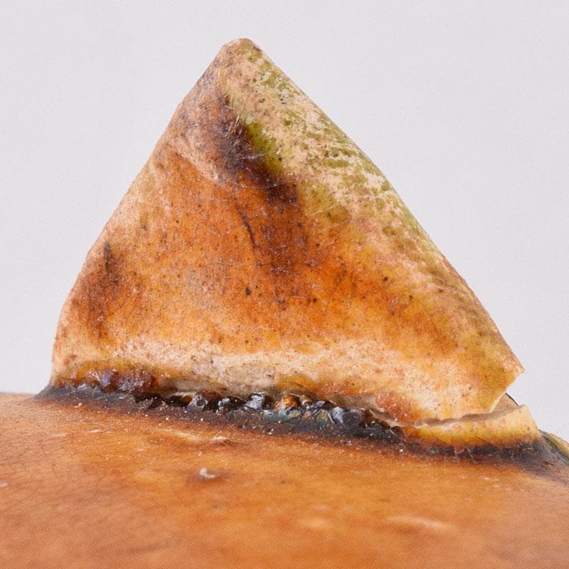 中国 唐三彩 蓋壷 飾壷 C R8539H - メルカリ