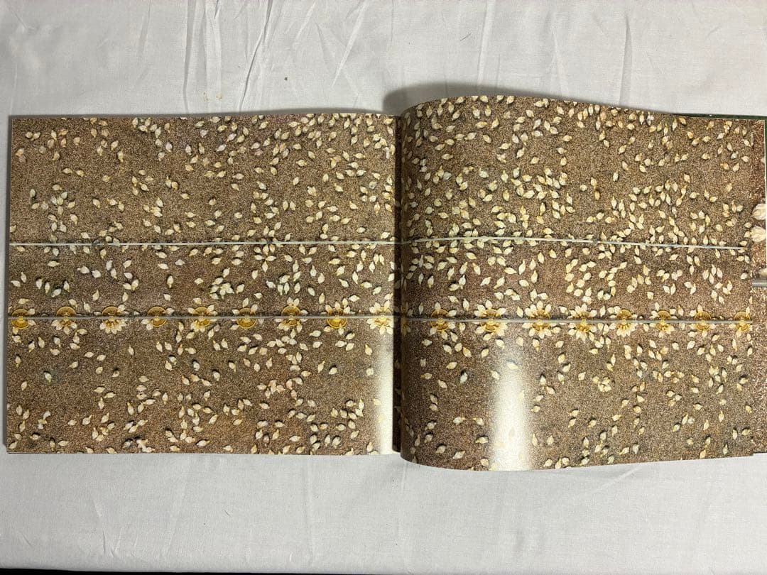 SUPERVISIONS アンドレアス・ゲフェラー 写真集