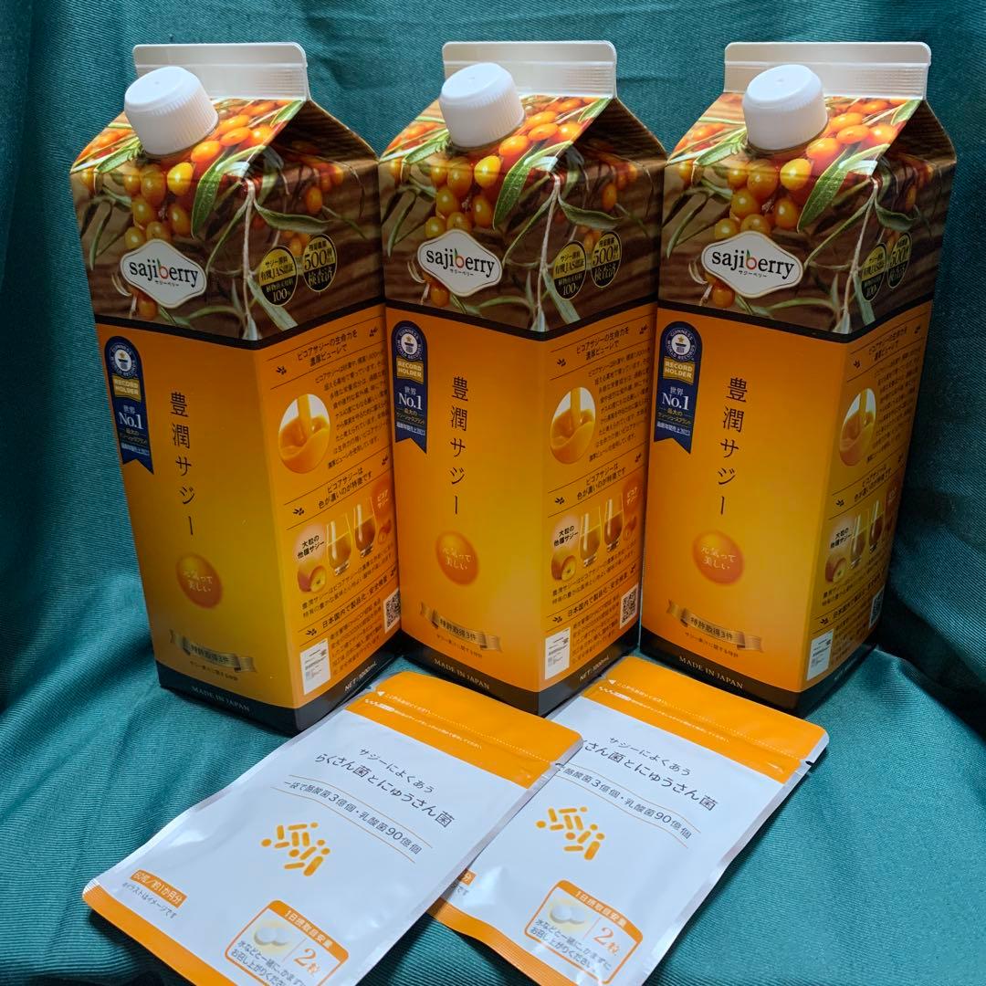 フィネス 豊潤サジー 1000ml 3本入り フィネス 豊潤サジー 健康飲料