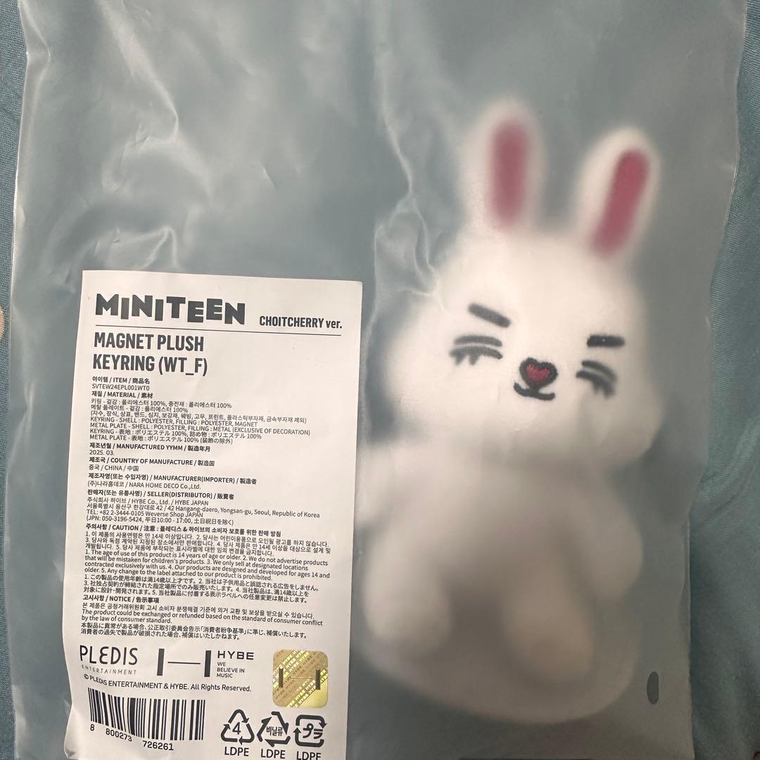 miniteen チェチェリー マグネットキーリング エスクプス - メルカリ