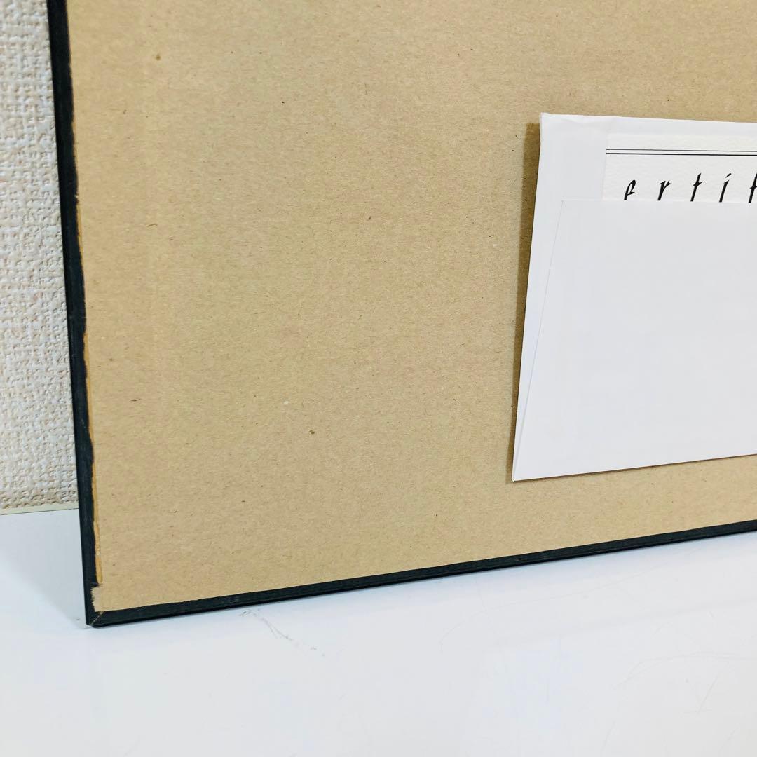 Disney ミッキーのフィルハーマジック ドナルド 絵画