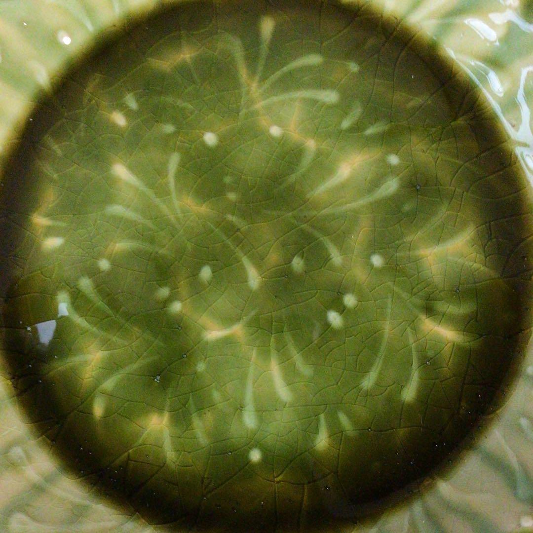 No4975 布志名焼 船木伸児 緑釉丸皿 共箱/栞付 島根県 民