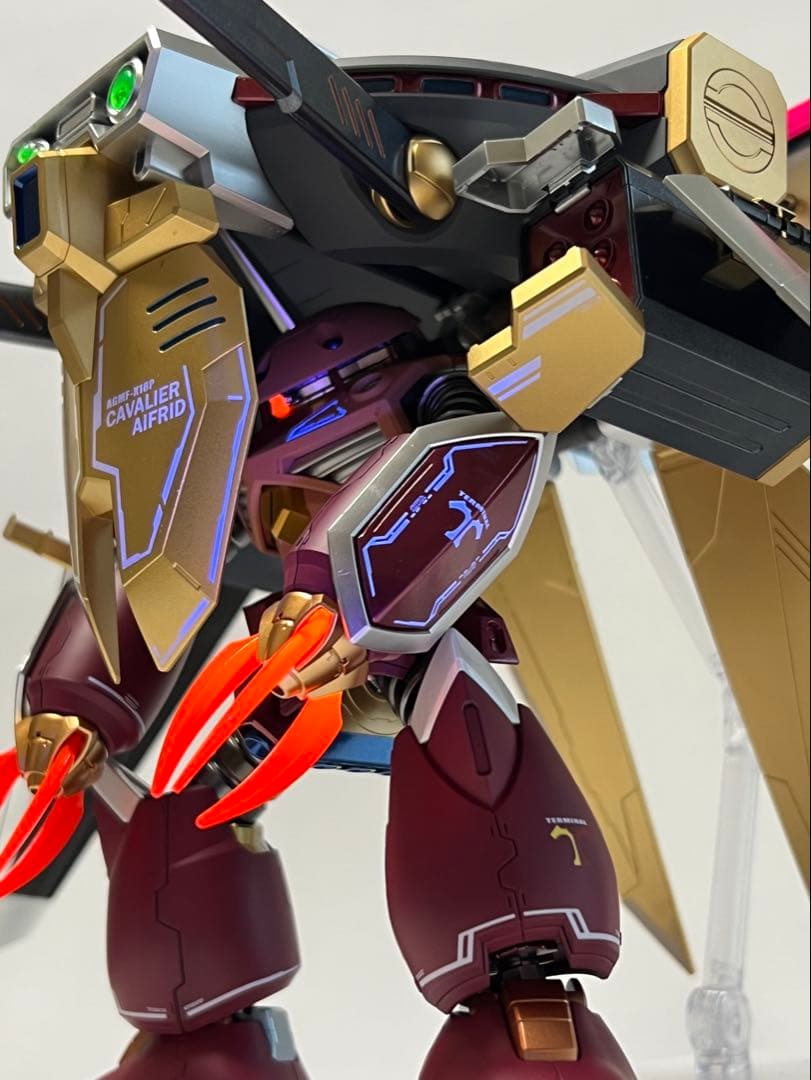 HGCE ズゴック SEED FREEDOM Ver. 塗装完成品 CAセット